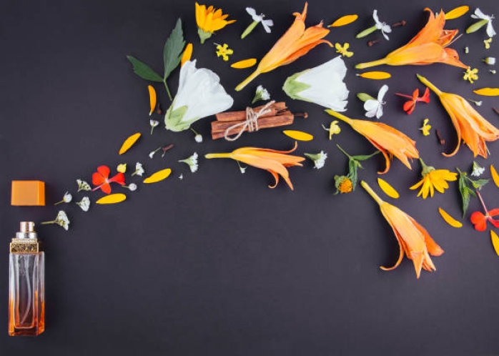 L'atelier création de parfum