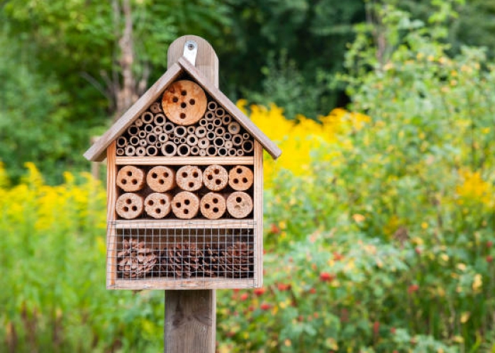 Un team building pour la biodiversité