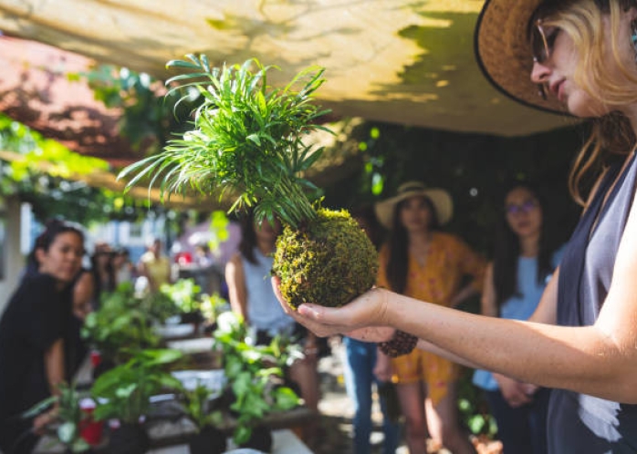 Création de kokedama 
