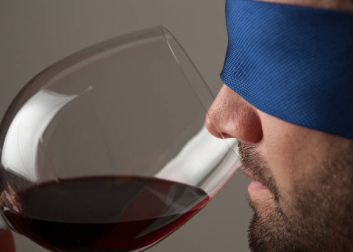 A la découverte de vos sens